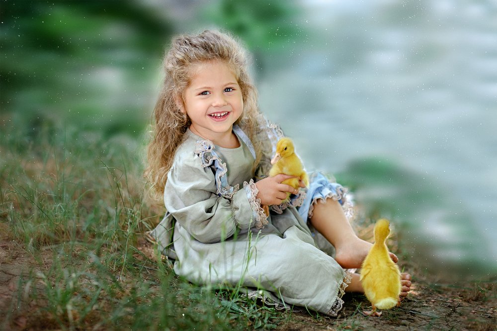 Утиные истории