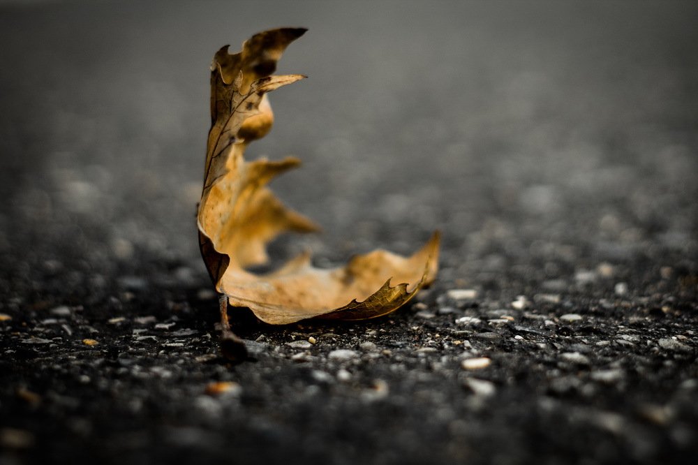 Photograph by Хаким