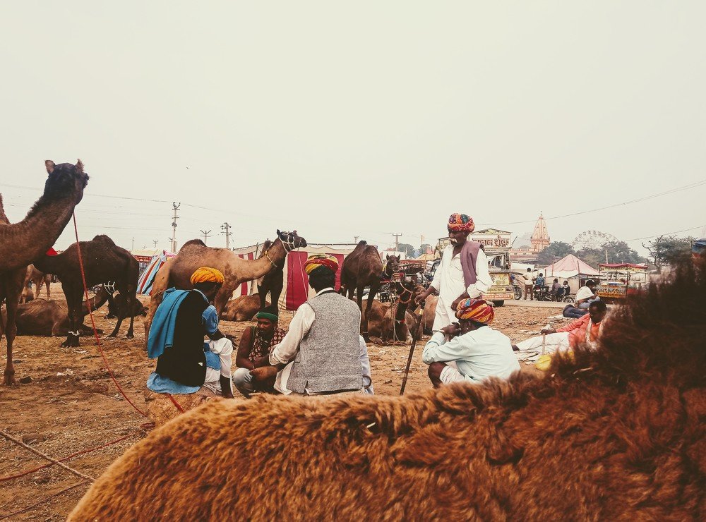 Photograph by Yash soni