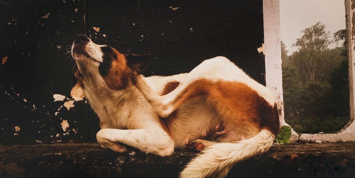 Photo #3895733