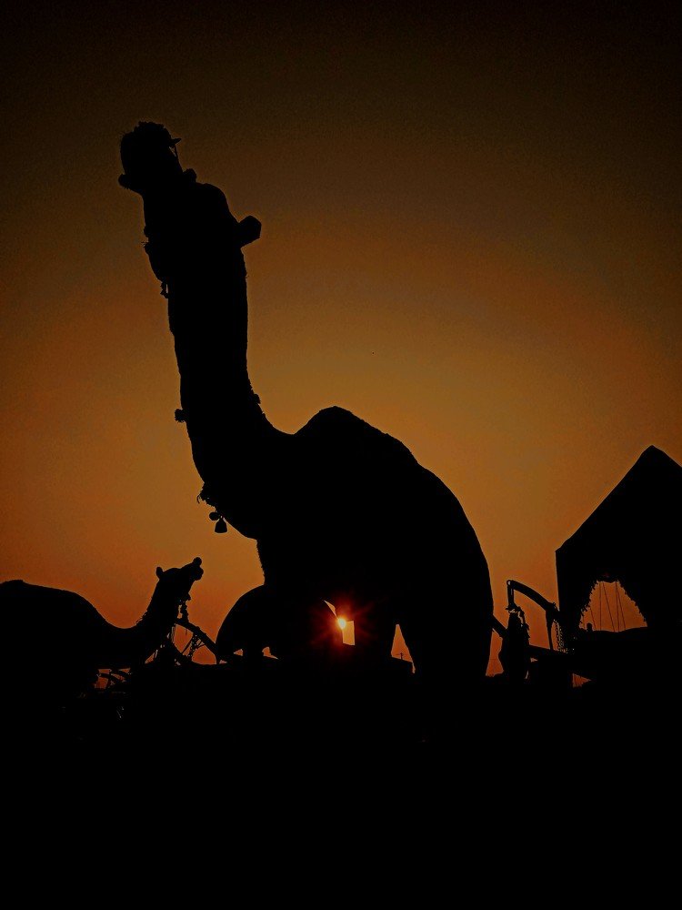 Photograph by Yash soni