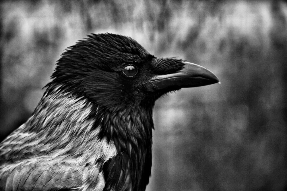 Photograph by Лилия Корж