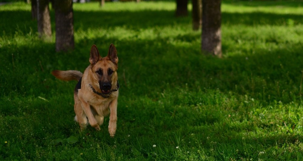 Photograph by Екатерина Мосолова