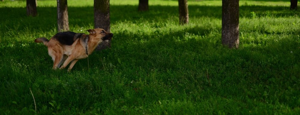 Photograph by Екатерина Мосолова