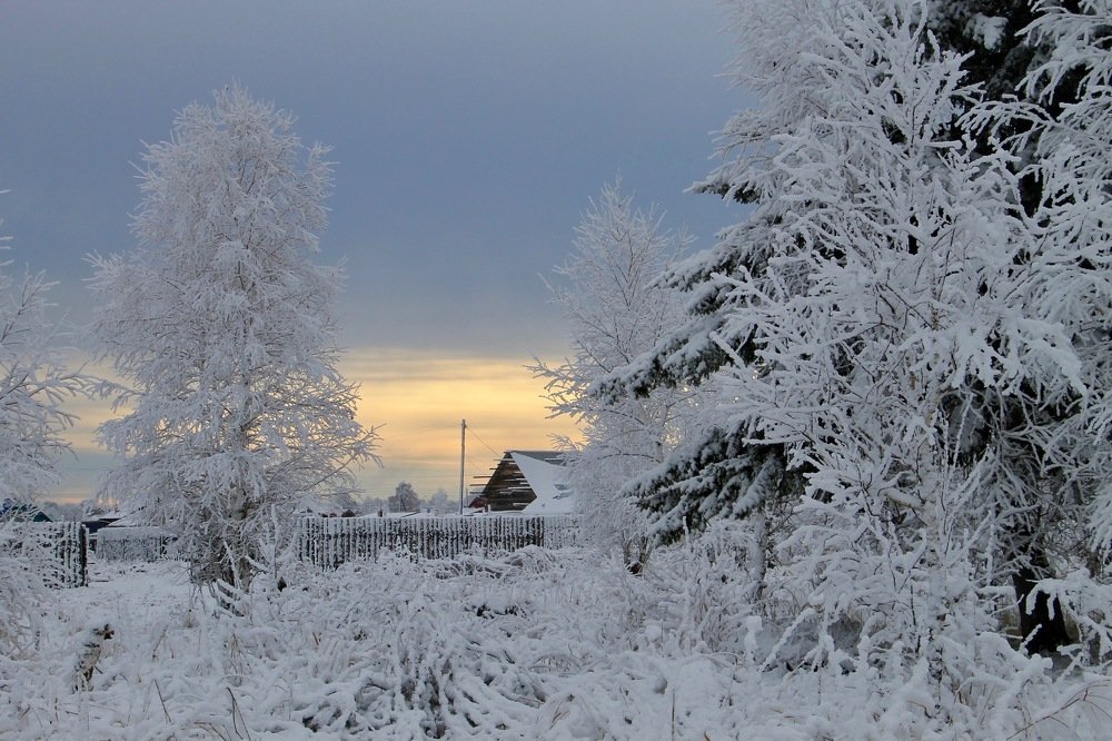 Photograph by Леунина Людмила