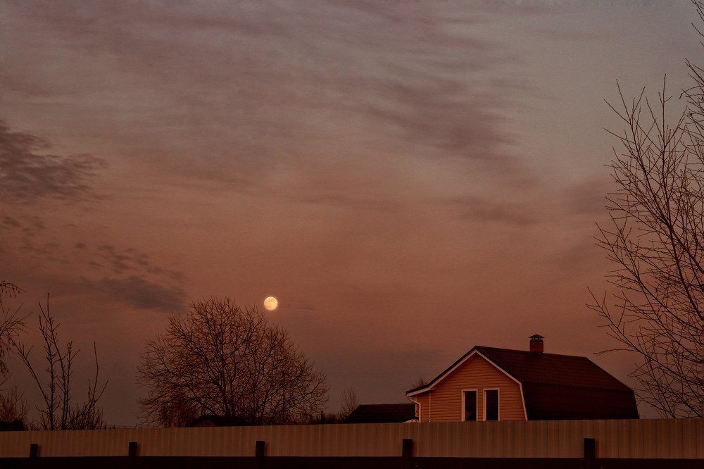Photograph by Дарья Безрукова