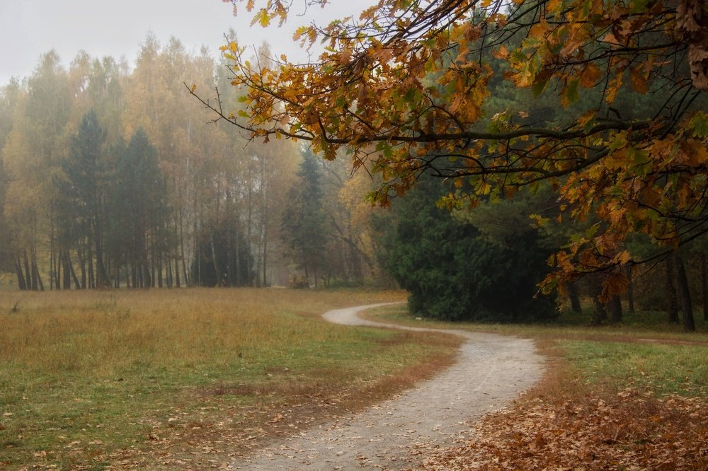 Photograph by Лилия Корж