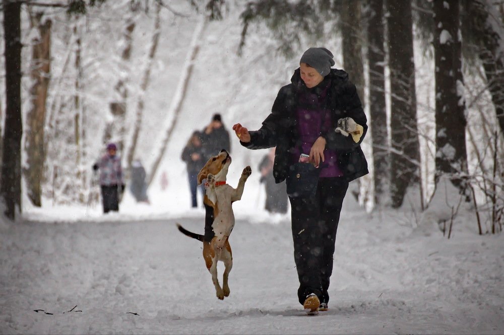Фотография автора Юрий Кольцов
