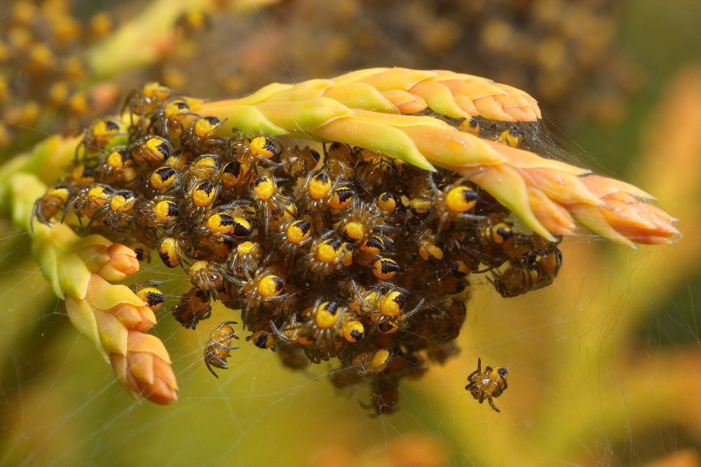 Фотография автора Юрий Кольцов