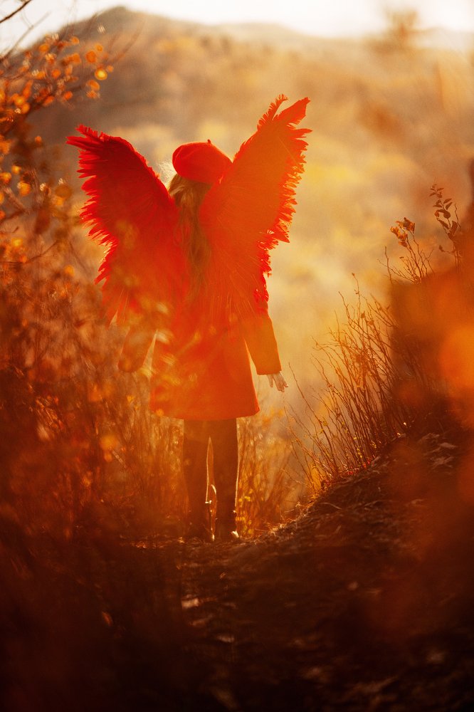 Где твои крылья...