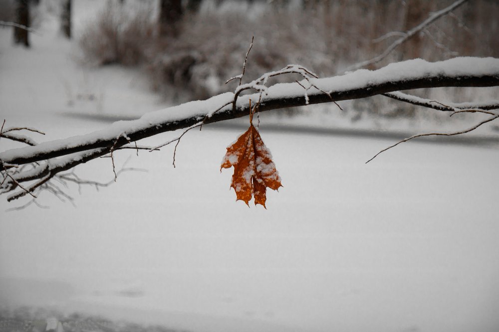 Photograph by Ирина Соболева