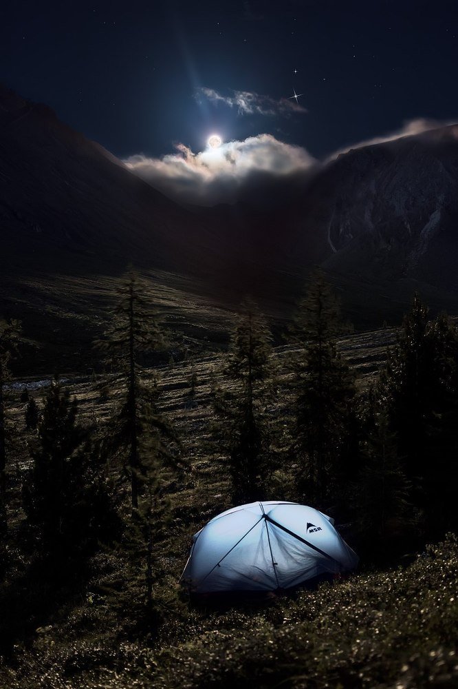 Ночной рассвет