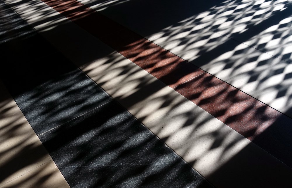 Фотография автора ТАТЬЯНА ЗАХАРОВА