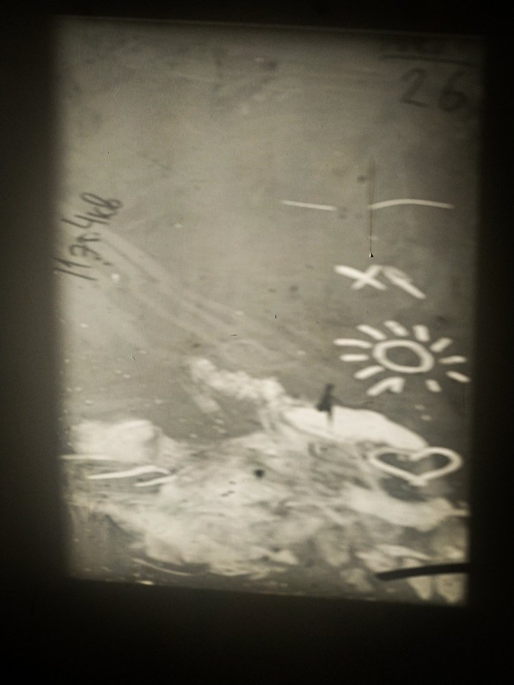 Photograph by Елена Сураева