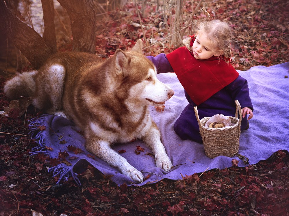 Photograph by Полина Спиридонова