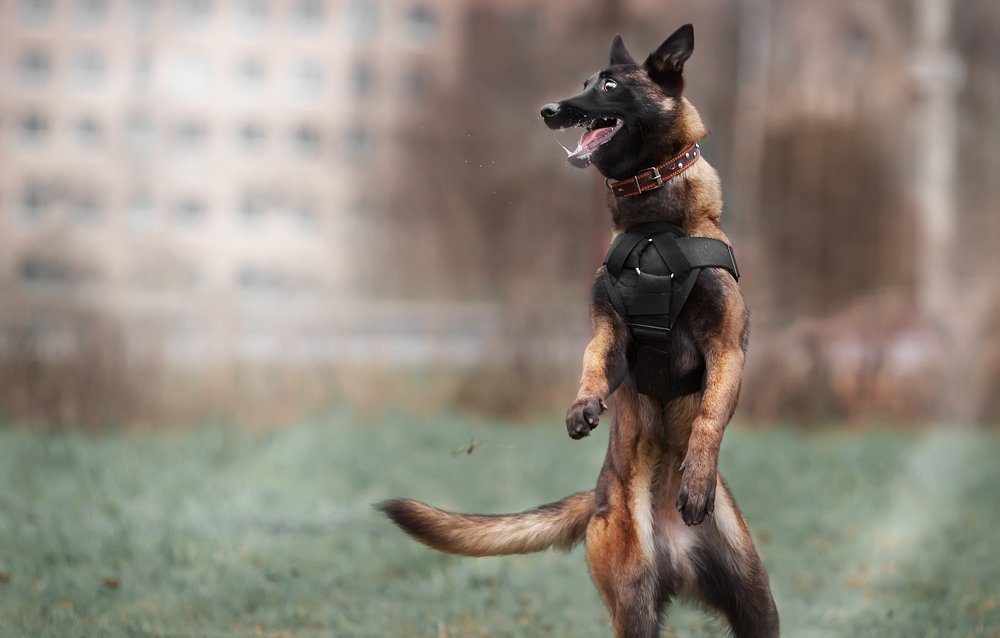 Photograph by Ольга Овчинникова