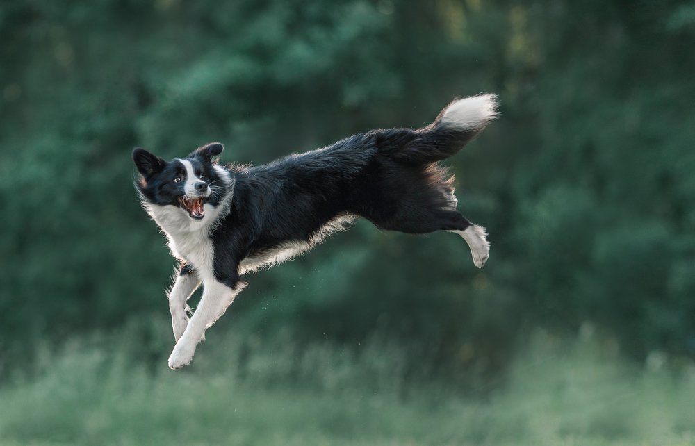 Photograph by Ольга Овчинникова