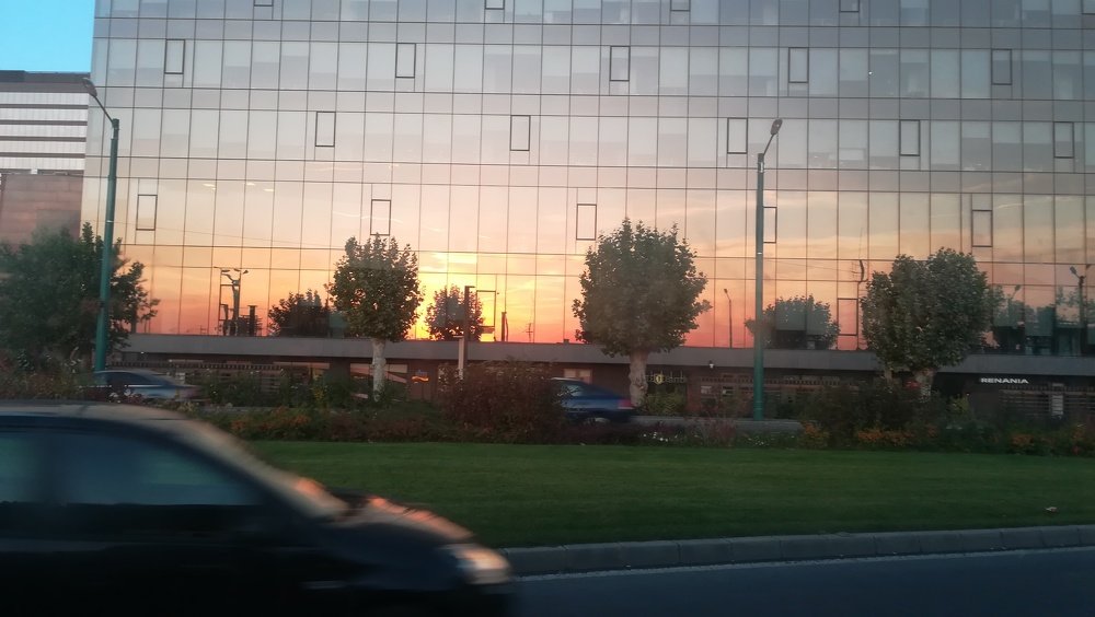 Photograph by Gemelina Opriș