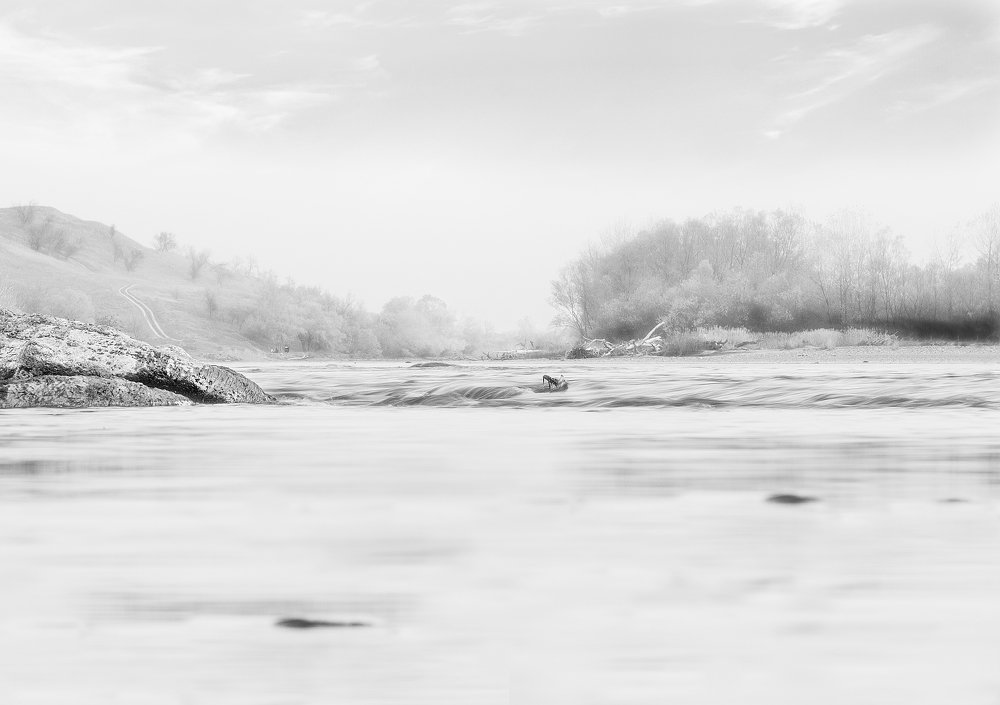 Photograph by Максим Митченко