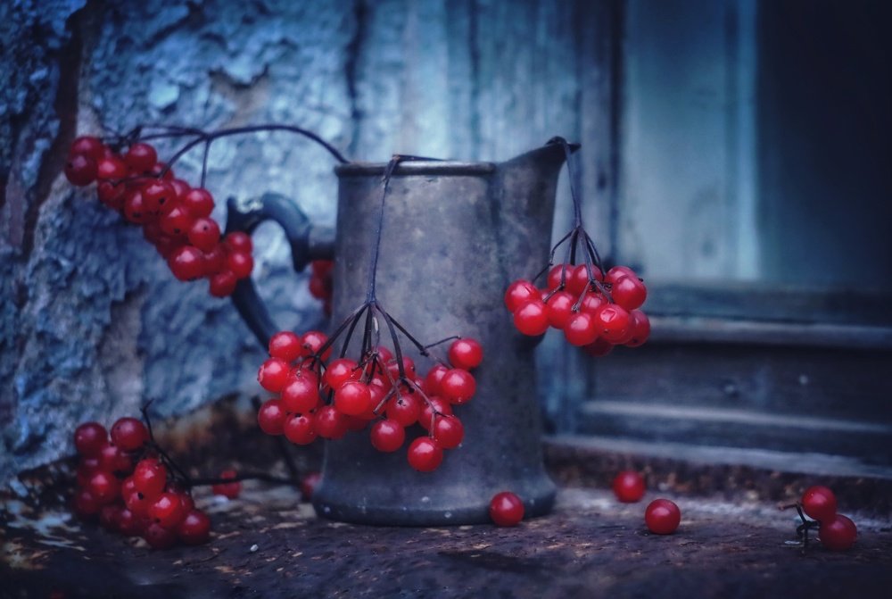 Photograph by Александра Карпцова