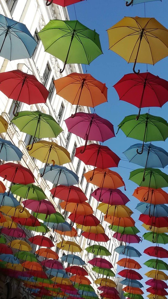 Photograph by Gemelina Opriș