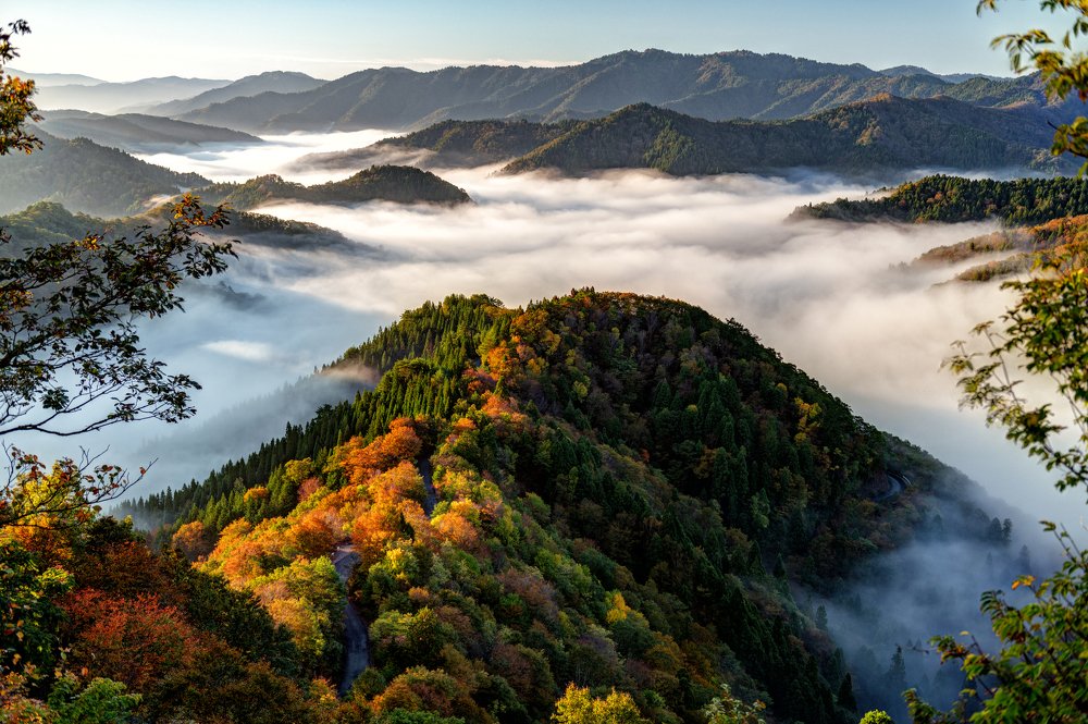 Photograph by  Naoya Yoshida