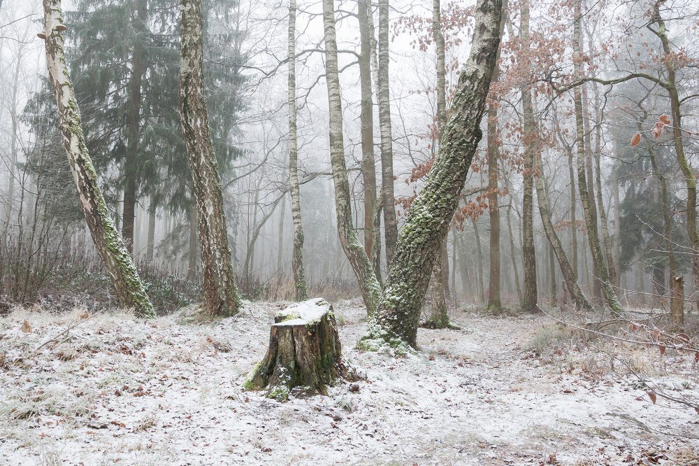 Photograph by Сипаева Катерина