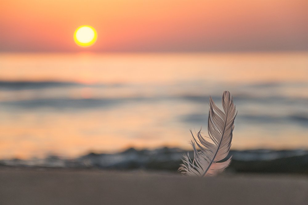 Photograph by Сипаева Катерина