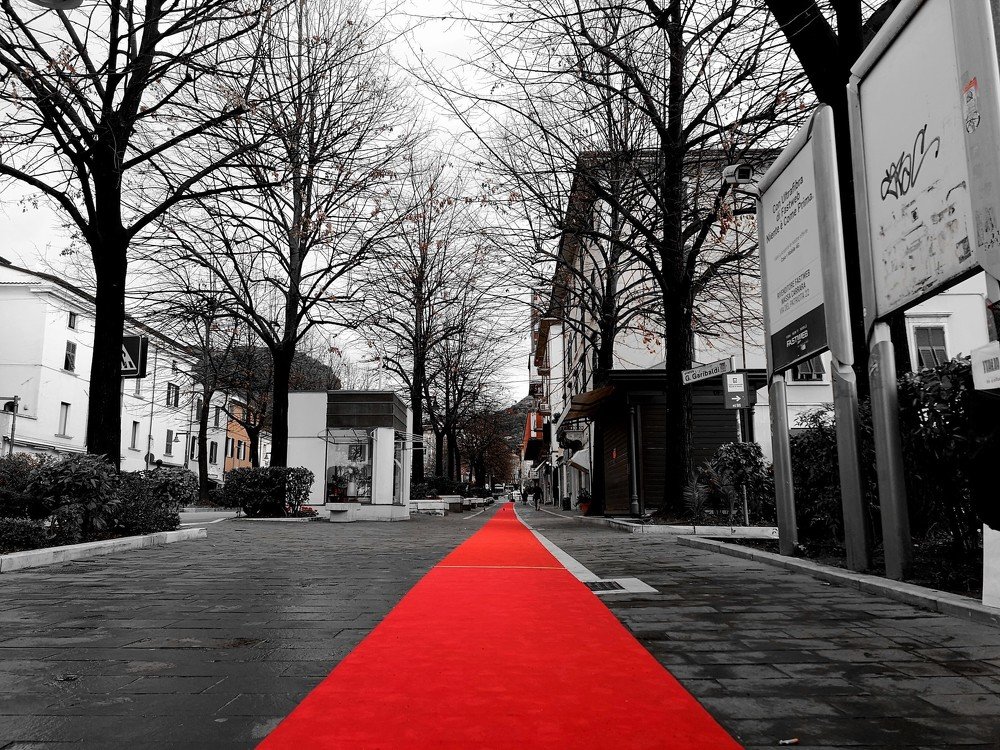 Photograph by Barbara Bonanno BNNRRB