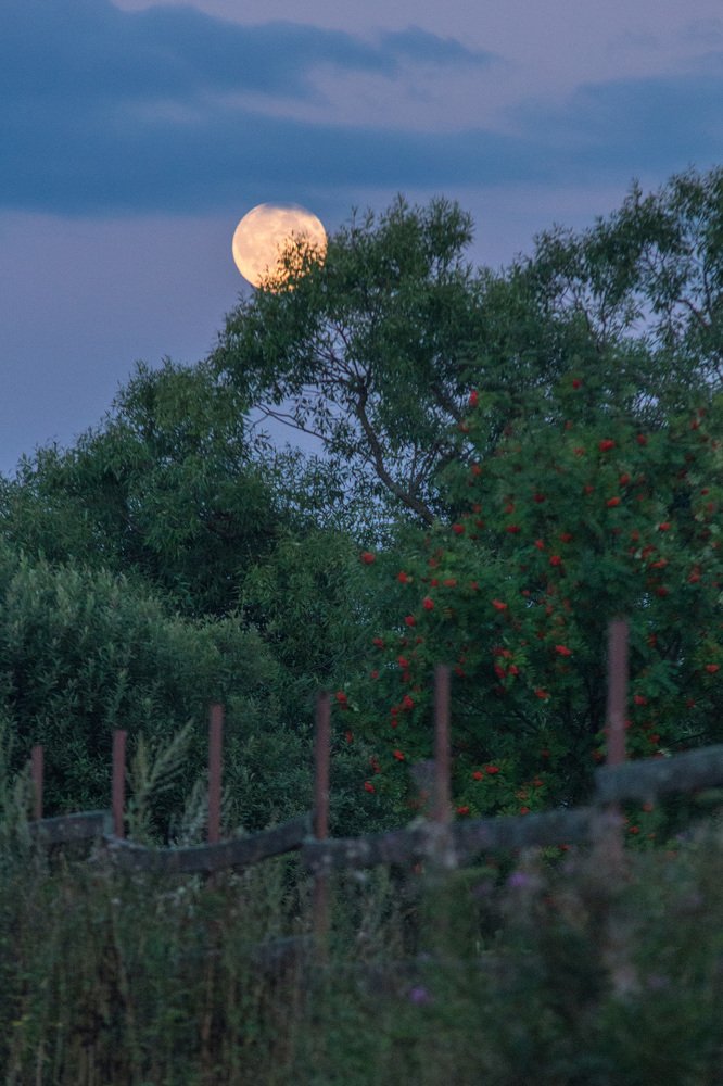 Photograph by Rodion Filimonov