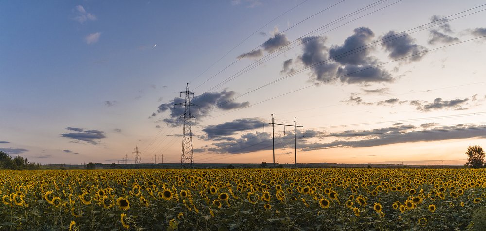 Photograph by Lebedeff Владимир