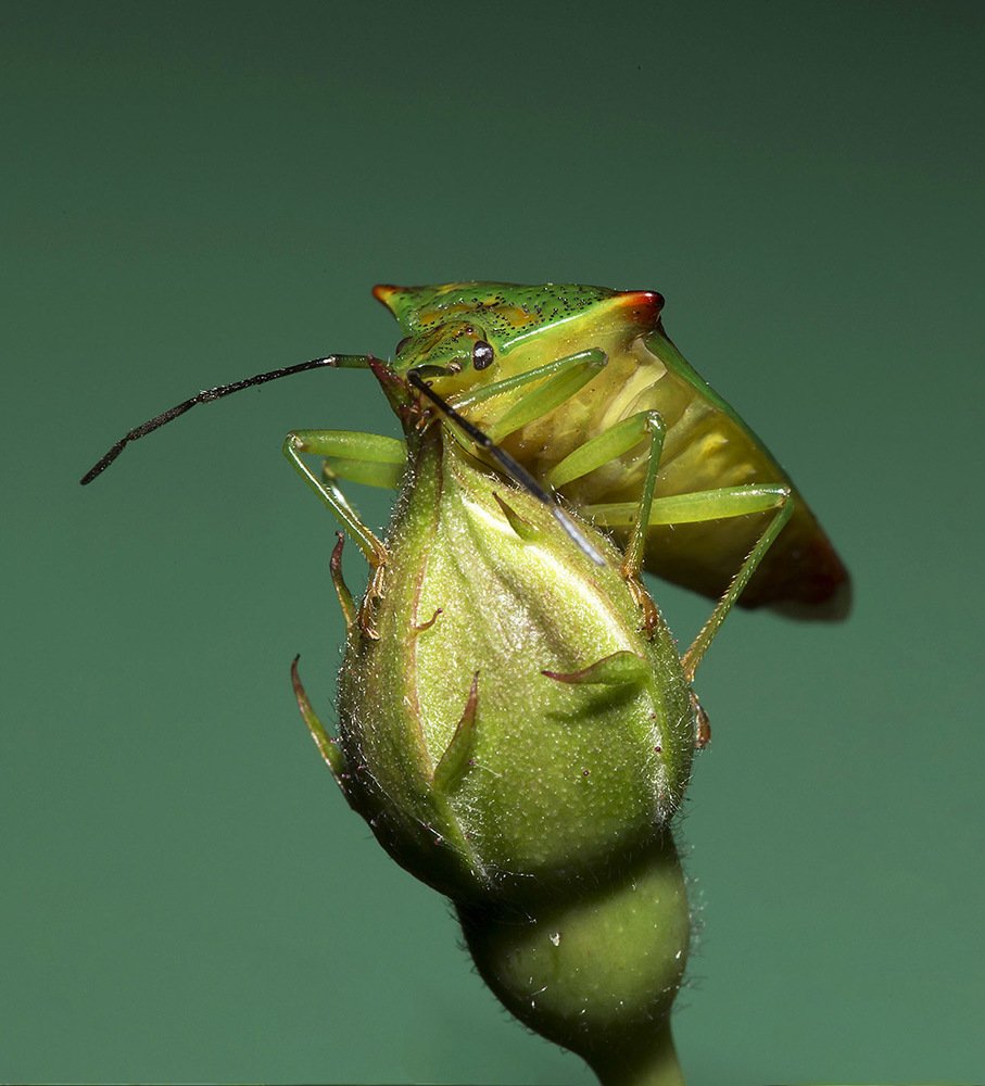 Фотография автора Марина Кулакова