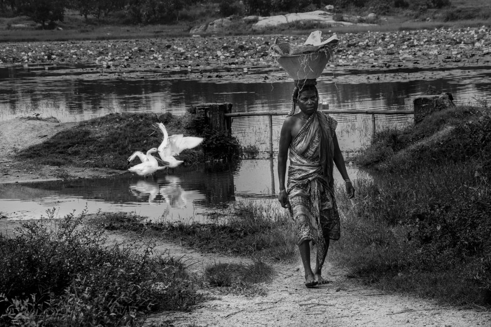 Photograph by ANIMESH MAJI