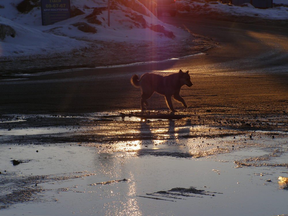 Photograph by Любовь Новикова