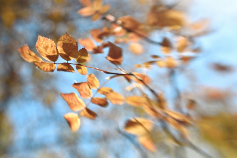 Photograph by Tatyana