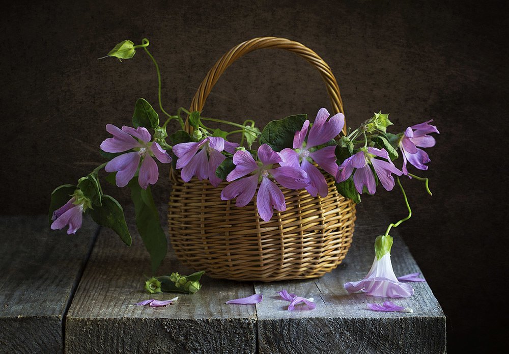 Фотография автора Марина Кулакова