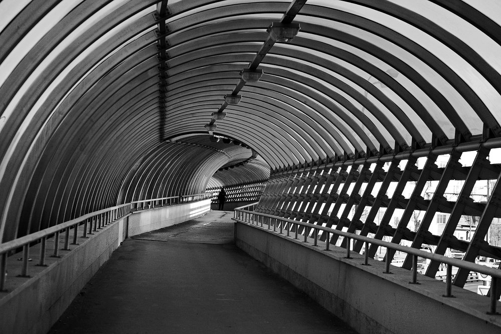 Photograph by Валерий Зарайсько