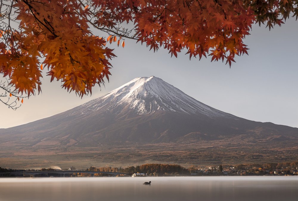 Photograph by 刘 术川