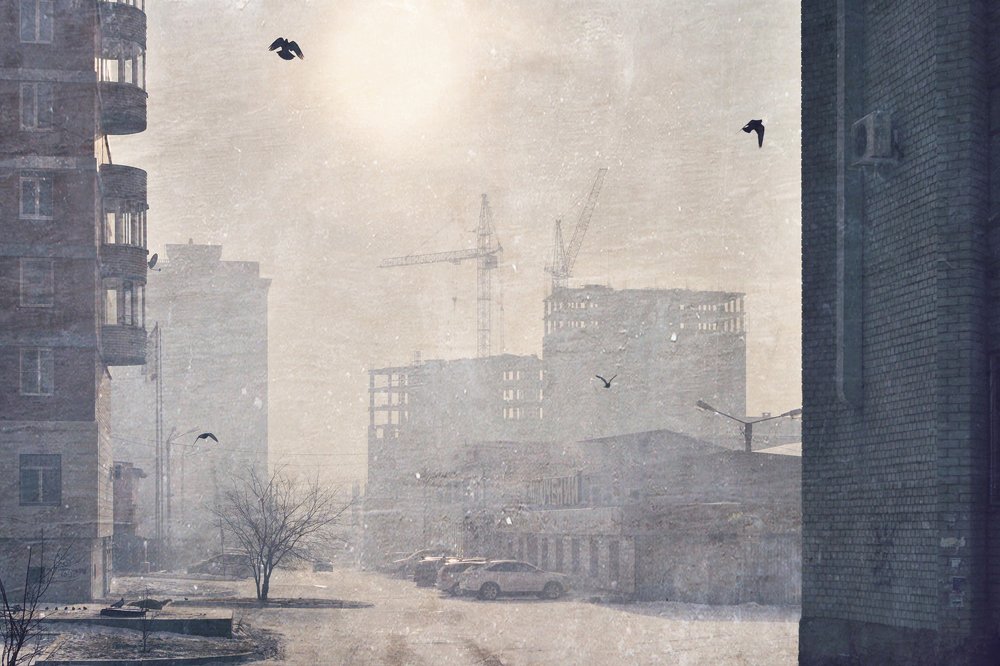 Photograph by Tatyana