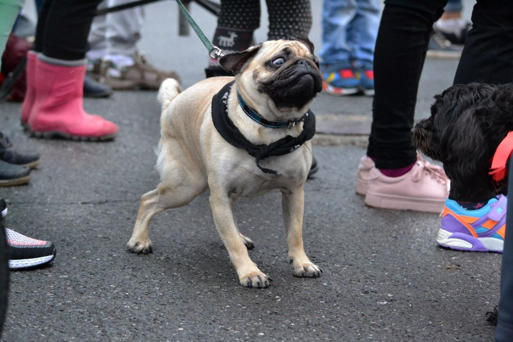 Photograph by Валерия Бердникова