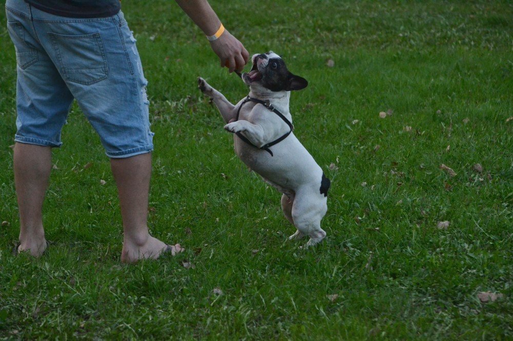 Photograph by Валерия Бердникова