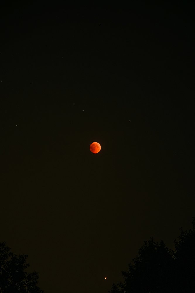 Photograph by Александр Шульга