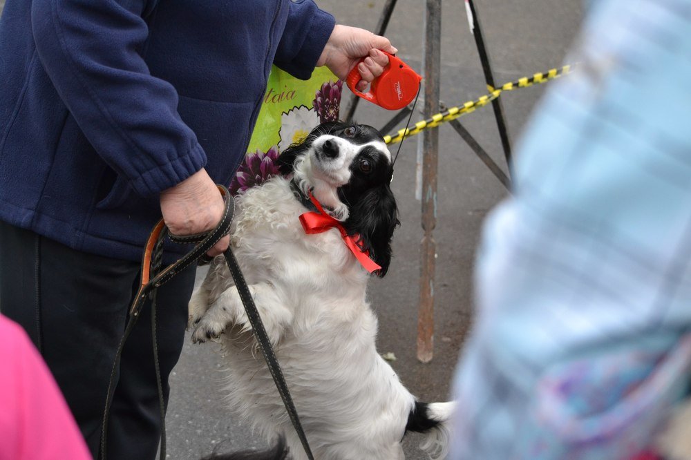 Photograph by Валерия Бердникова