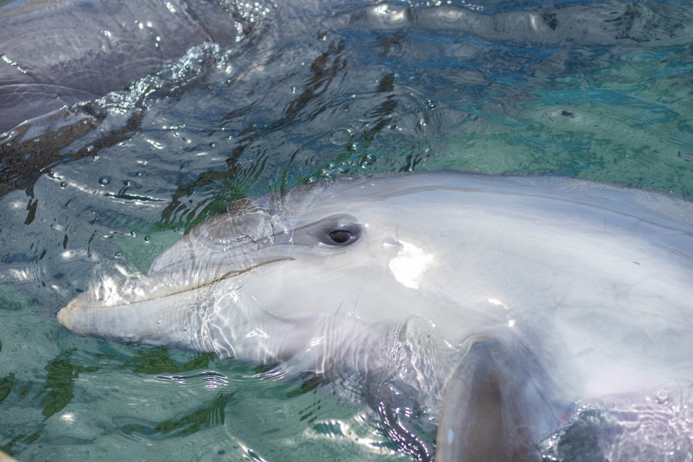 Photograph by Павел Гоберман