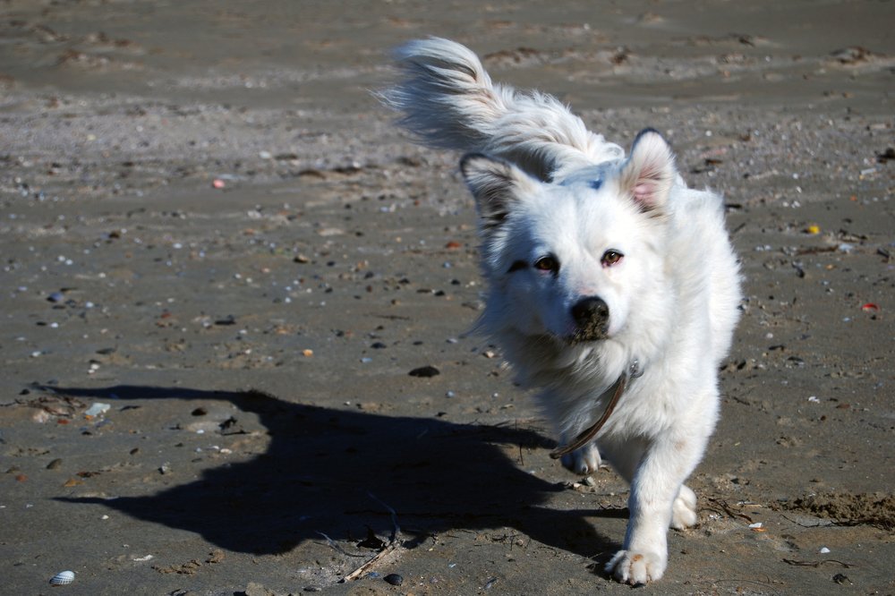 Photograph by Павел Гоберман