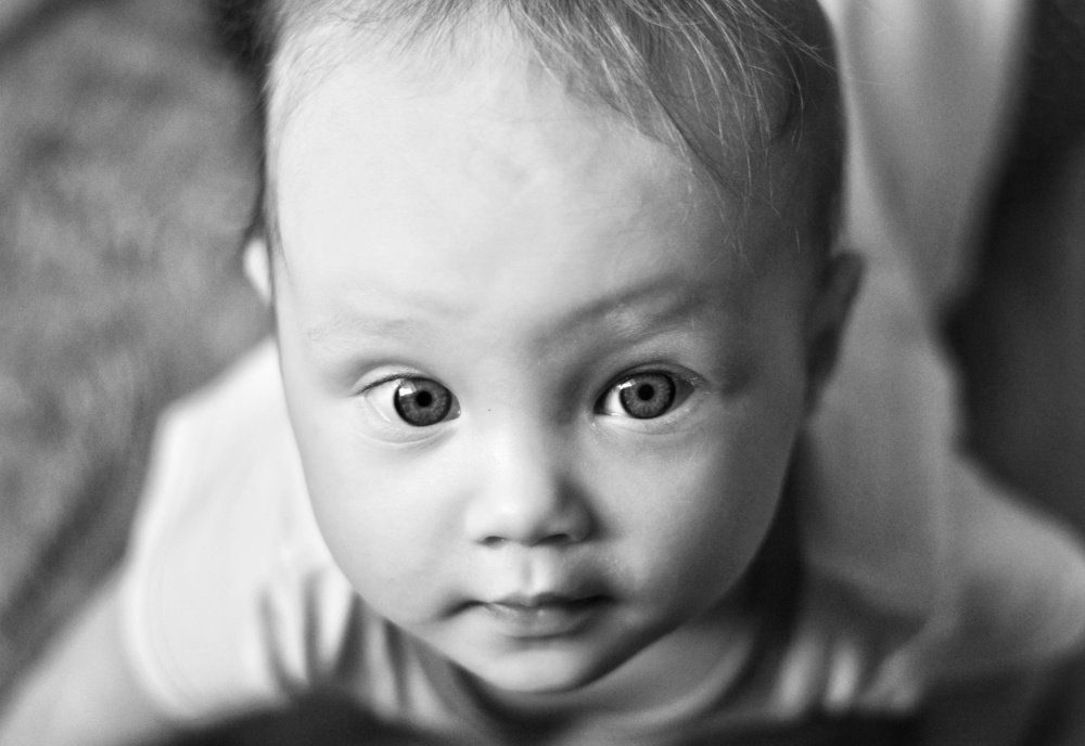 Photograph by Вячеслав Шемошенко