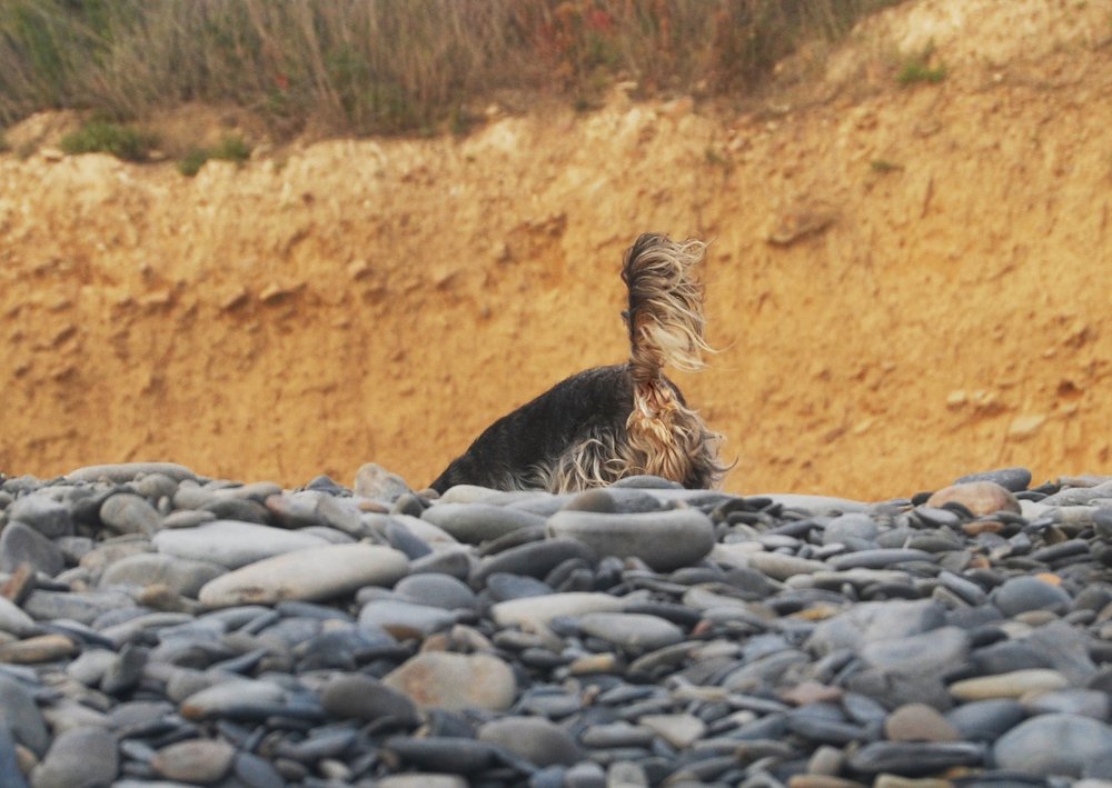 Photograph by Павел Гоберман