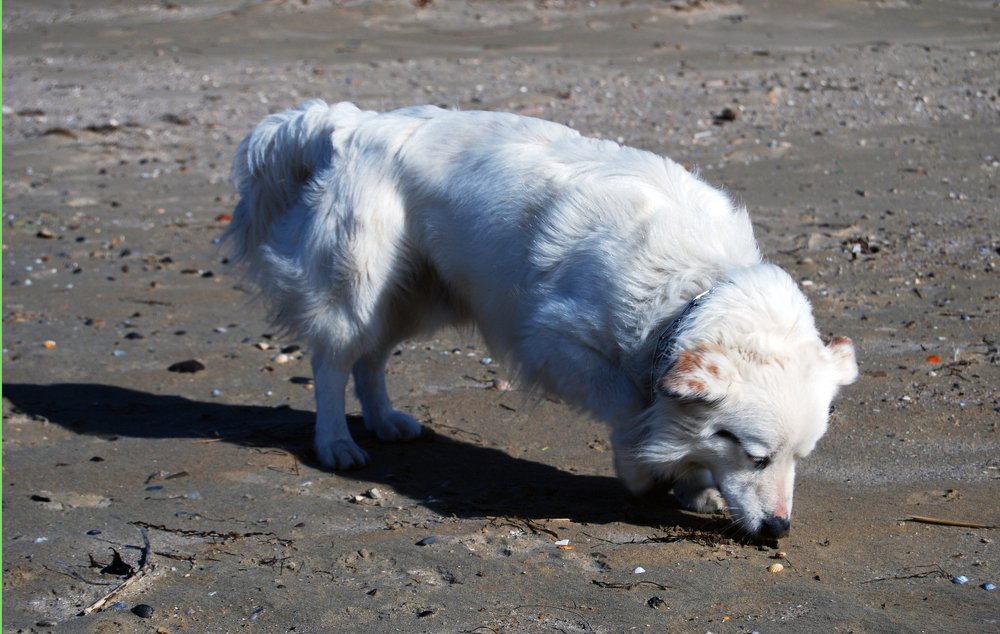 Photograph by Павел Гоберман