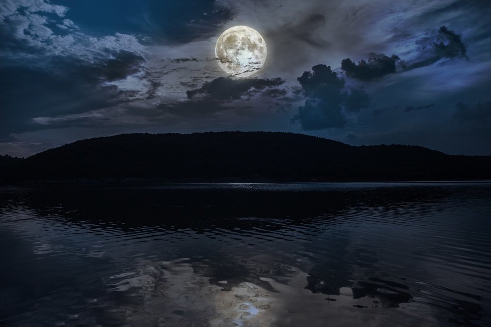 Photograph by Jelena Potrebic