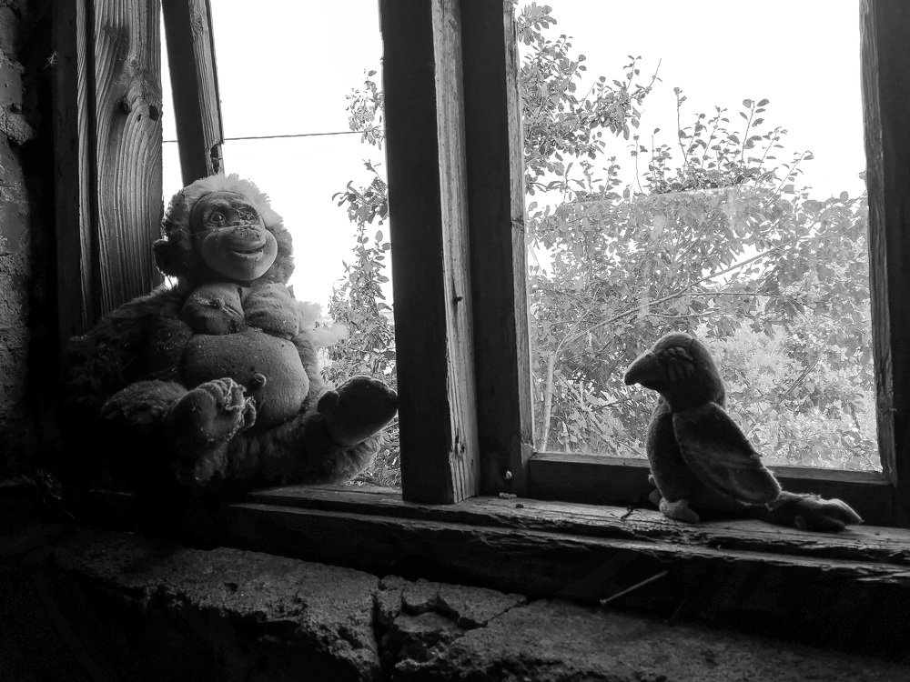 Photograph by Денис Мищук